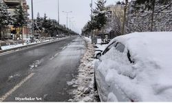 Dicle'de kar yağışı tarıma can suyu oldu: Kuraklık endişesi azaldı