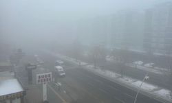 Diyarbakır'da sis ve soğuk etkili olacak: İşte günün hava durumu