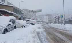 Mola kısa sürdü: Diyarbakır'a kar geri dönüyor! İşte tarihler