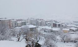 Diyarbakır'da beyaz alarm: İki gün boyunca kar hayatı zorlaştırabilir