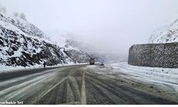 Diyarbakır'da kar alarmı: Uçuşlar iptal, yollar kapalı