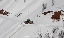 Diyarbakır'da karla mücadele seferberliği: Üç günde 300 kilometre yol açıldı
