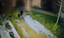 Diyarbakır'daki kayıp annenin son görüntüsü ortaya çıktı!