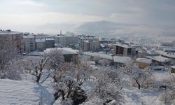 Kulp'ta kartpostallık kar tablosu: Her yer bembeyaz oldu