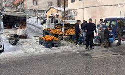 Diyarbakır Kulp'ta salı pazarı kurulamadı: Hava koşulları izin vermedi