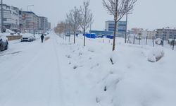 Diyarbakır'ın ilçesinde yollar kapandı: Beyaz esaret başladı