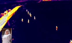 Diyarbakır'daki kayıp anne için termal kamera ve dronlar devreye girdi