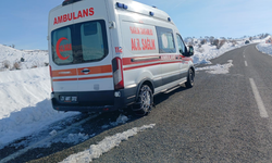 Kulp’ta endişe yaratan görüntü: Ambulans 3 gündür yol kenarında