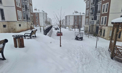 Diyarbakır'da  TOKİ heyecanı: 200 konut için kura tarihi belli oldu