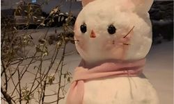 Diyarbakır'da en güzel kardan adam yarışması: Birinci belirlendi