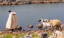 Karacadağ’daki krater gölü yeniden doldu: Kuraklık sonrası sevindiren görüntü