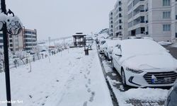 Kulp'ta kar çileye dönüştü: Vatandaşın hayatı zorlaştı