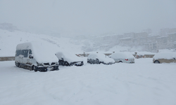 Kulp’ta Kar felaketi: Kar kalınlığı 1 metreyi aştı, İlçe beyaza gömüldü