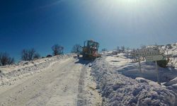 Meteorolojiden Diyarbakır için don, buz ve çığ uyarısı: Kar kuvvetli yağacak