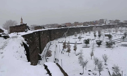 Meteoroloji’den Diyarbakır için kuvvetli kar uyarısı: Kuzey ilçeler dikkat!