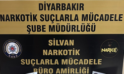 Silvan’da şafak baskını: Yarım kilo uyuşturucu ele geçirildi