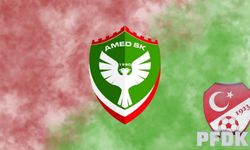 Amedspor 'Eyvah' dedi: İki maddeden disipline sevk edildi