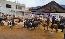 Devlet desteği resmen açıklandı: Diyarbakır'da binlerce kişi bayram etti