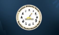 Diyarbakır’da “Kürt Dili ve Eğitim” paneli