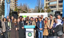 Yok olma tehlikesi yaşayan diller Diyarbakır'daki parkta yaşayacak