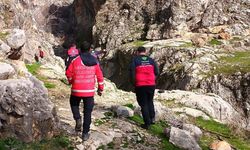 Diyarbakır'da sırra kadem basan 84 yaşındaki adam 16 gündür bulunamadı