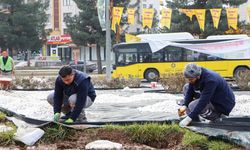 Diyarbakır'da su tasarrufu için dev adım: Kavşaklar kuru peyzaj ile yenileniyor
