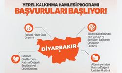 Valilik duyurdu: Diyarbakır'da yatırımcıya 301 milyon TL nakdi destek fırsatı!