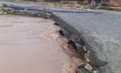 Diyarbakır'da dereler taştı, köprüler hasar gördü