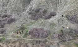 Kulp’ta kayıp Ertaş'tan 19'uncu günde de ses yok