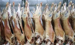 Piyasaya hastalıklı et sürülmüş