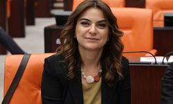 DEM Parti: Öcalan’a başmüzakereci statüsü verilmeli