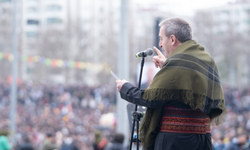 Amed Newrozu’nda Bakırhan’dan dikkat çeken çağrı: “Barış hukukunu kuralım”