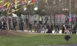 Newroz için görevlendirilen polis sayısı dudak uçuklattı