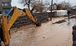 Diyarbakır'ın köylerinde yollar kapandı, ahırları su bastı: Ekipler mesai yaptı