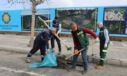 Aşırı yağışlar korkuttu: Diyarbakır Büyükşehir mazgal seferberliği başlattı