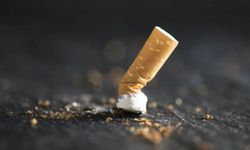 Diyarbakır'daki 5 ay sonra çözülen sır: Sigara izmaritindeki DNA faili ele verdi