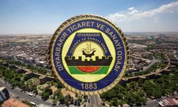 Diyarbakır'da Şubat ayında açılan şirket sayısı belli oldu: Sektörel dengeler değişti