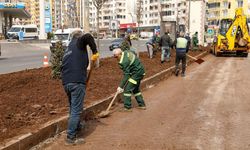 Diyarbakır'ın gözde bulvarı yaşam koridoruna dönüşüyor: Daha estetik olacak