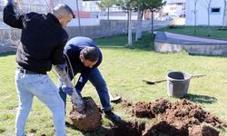 Diyarbakırlıların çok sevdiği parka yeşil dokunuş