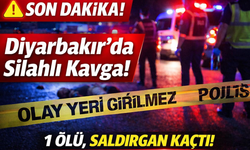 Diyarbakır’da gece yarısı kavga! Kafasından vurulan kişi hayatını kaybetti