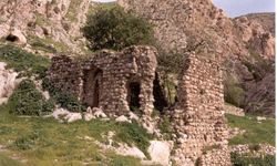 Meclis'e çağrı: Feqiyê Teyran mirası yok ediliyor!