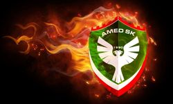 PFDK Amedspor'u boş geçmedi: İşte kesilen ceza miktarı