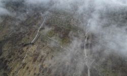 Şırnak’ta doğa uyandı