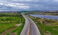 Diyarbakır'a 5 bin ağaç dikildi: Yeşil dönüşüm hız kazandı