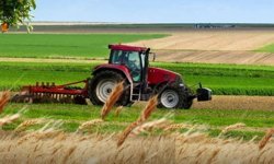 Çiftçiye yüzde 70'e varan hibe desteği: Diyarbakır Tarım İl Müdürlüğü duyurdu