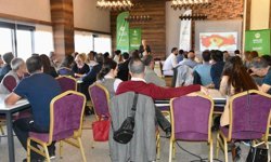 Diyarbakır'da Eski Bağlar'ın geleceği masaya yatırılıyor: Uzmanlar ele alacak