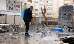 Diyarbakır'da 1056 noktada mücadele başladı: Sabah akşam ekipler devrede