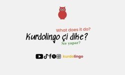 Kürtçe öğrenme platformu Kurdolingo yayında