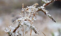 Bu tarihlere dikkat: Bakanlık çiftçileri tehlikeye karşı uyardı