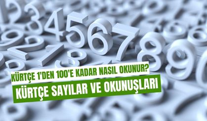 Kürtçe Sayılar: Nasıl Okunur, Nasıl Yazılır?